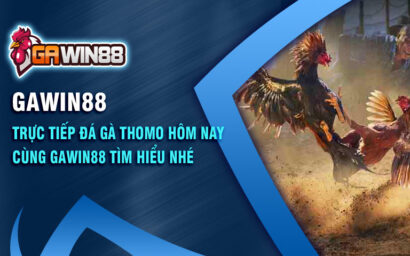 trực tiếp đá gà giải thomo hôm nay